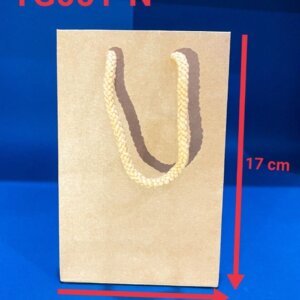 TG001 N1