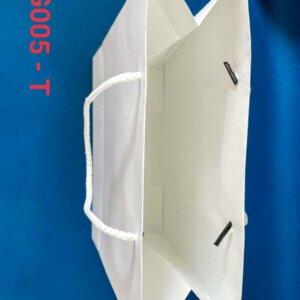 TG005 T3