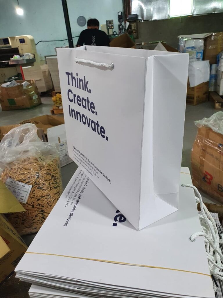 in tui giay 17052214